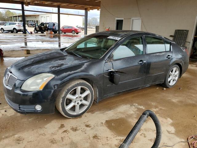 2005 NISSAN MAXIMA SE 2005 image