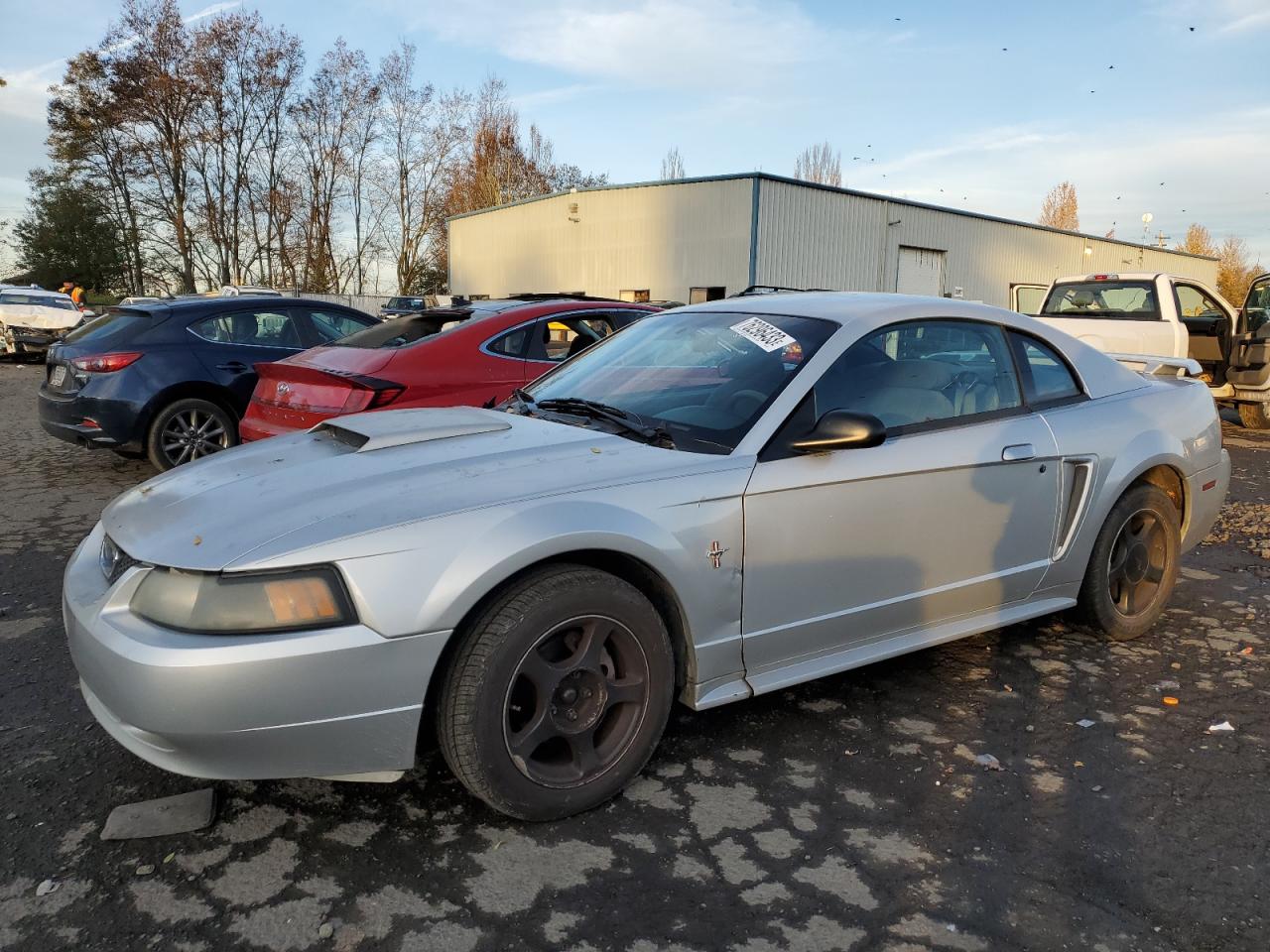 2003 FORD MUSTANG  2003 image