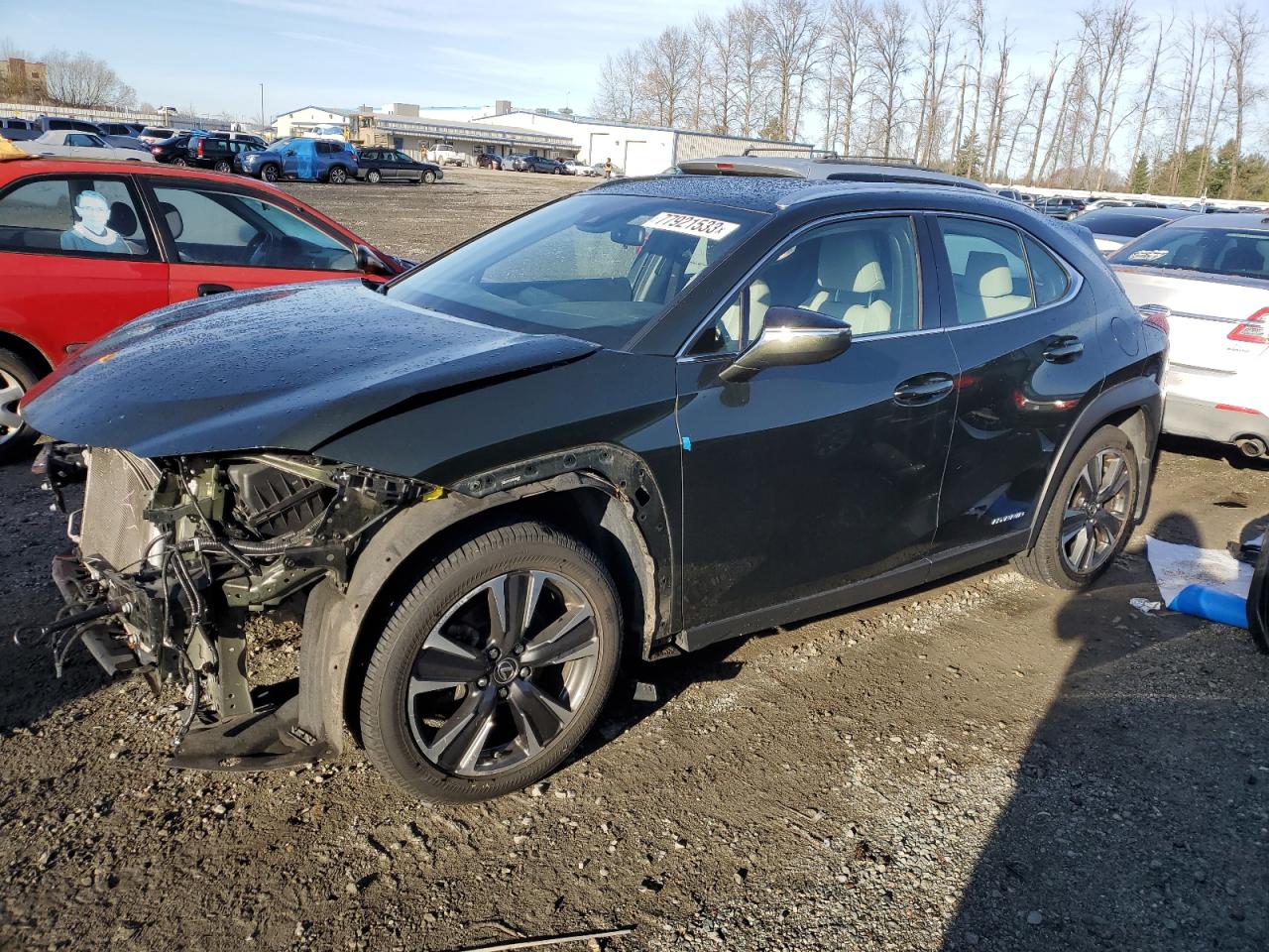 2019 LEXUS UX 250H 2019 image