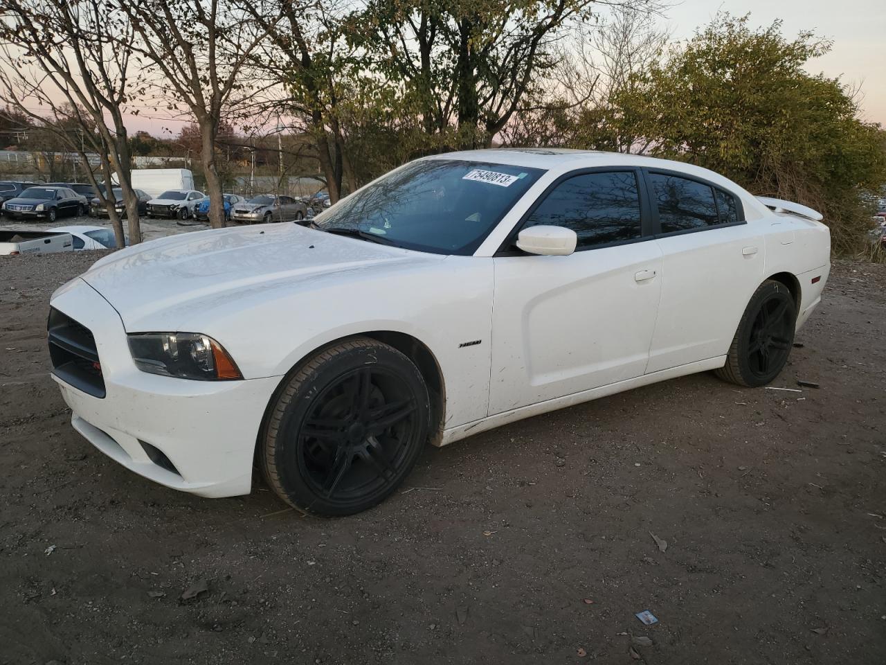 Obraz 2014 DODGE CHARGER R/T 2014
