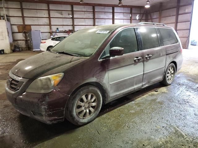 Image 1 of 2010 HONDA ODYSSEY EXL 2010 with VIN 5FNRL3H78AB071919