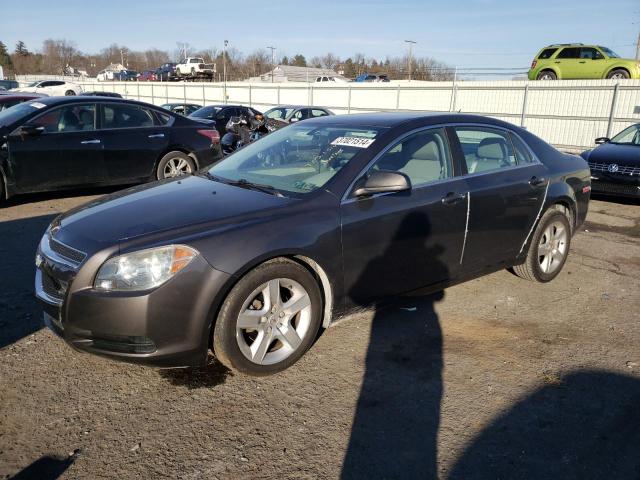 Изображение 1 2011 CHEVROLET MALIBU LS 2011 с VIN 1G1ZA5E12BF299437