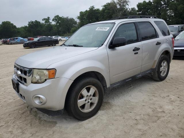 2010 FORD ESCAPE XLT 2010 image