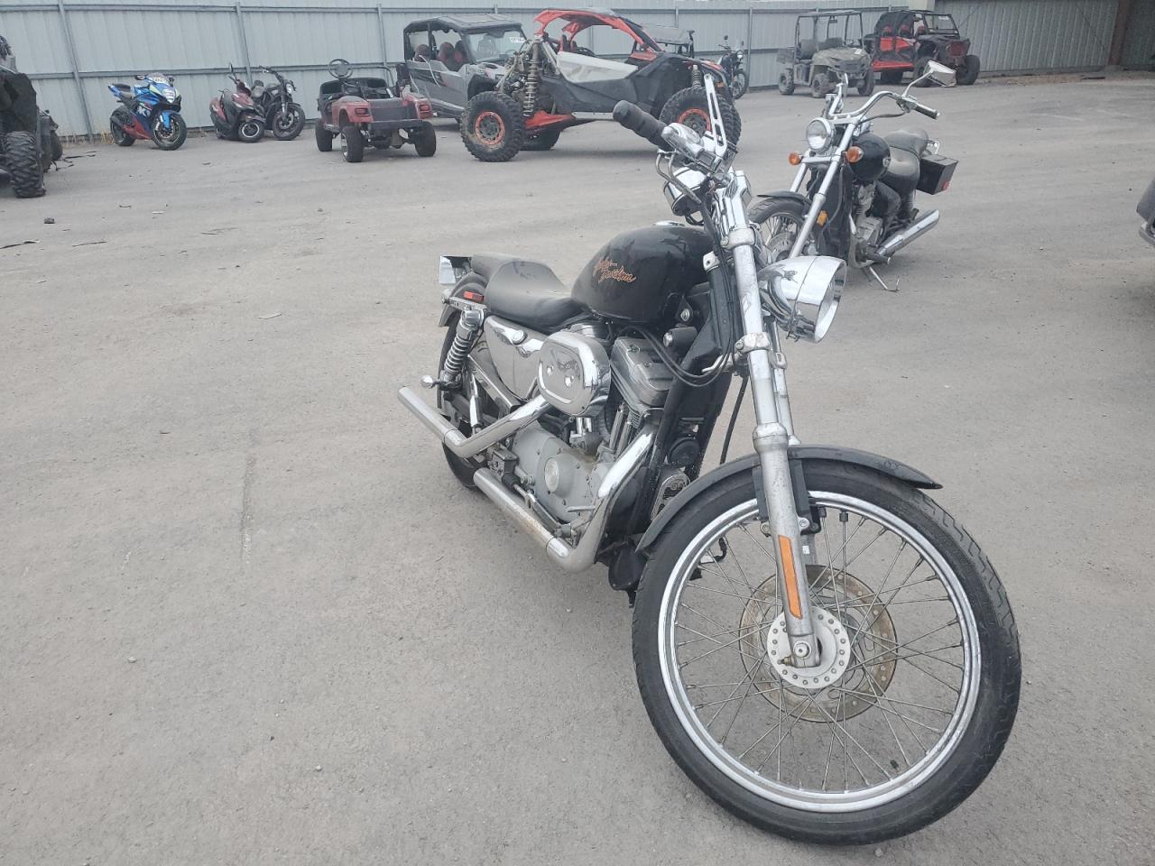 2000 HARLEY-DAVIDSON XL883 C 2000 image