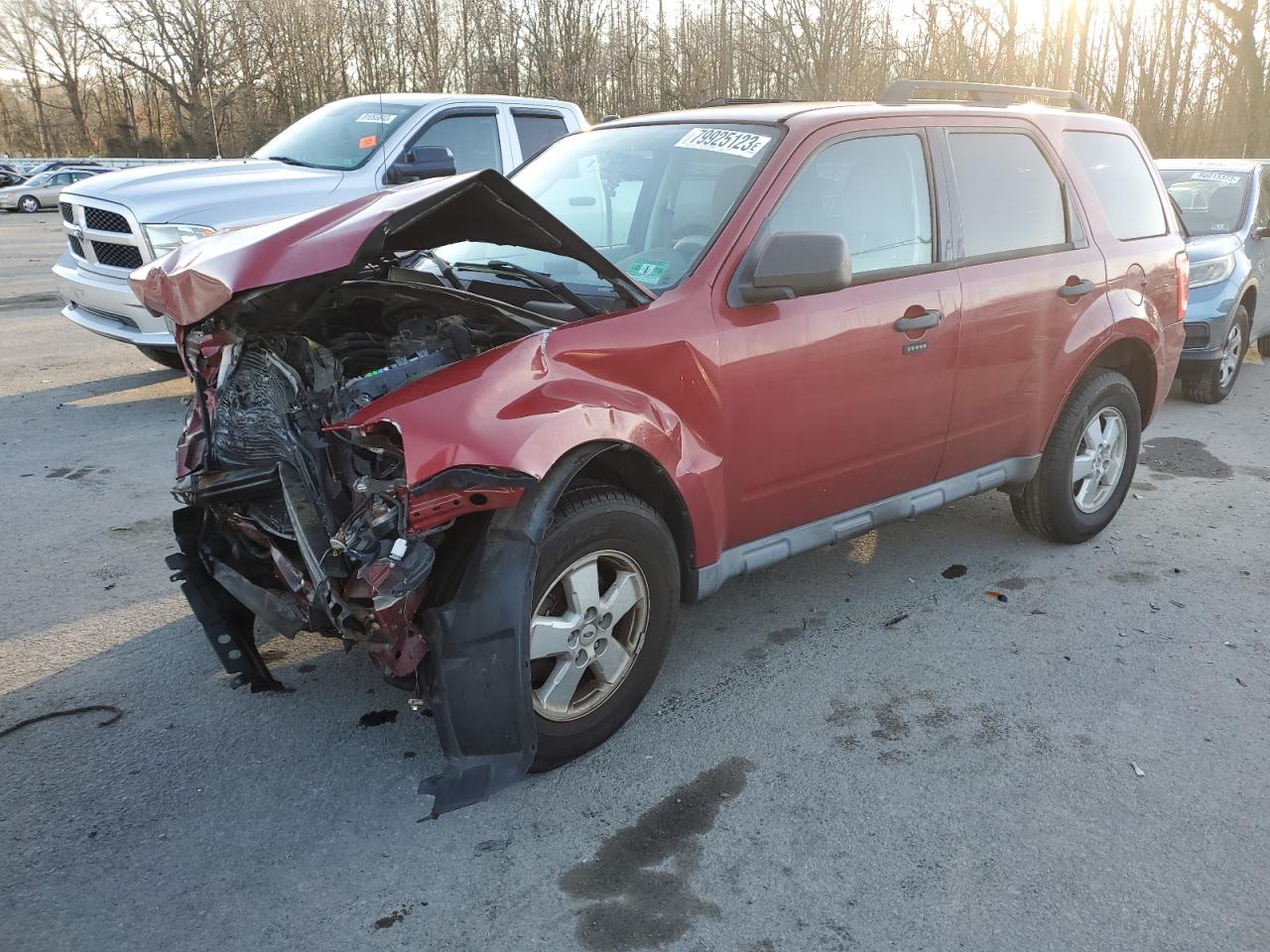 Obraz 2010 FORD ESCAPE XLT 2010