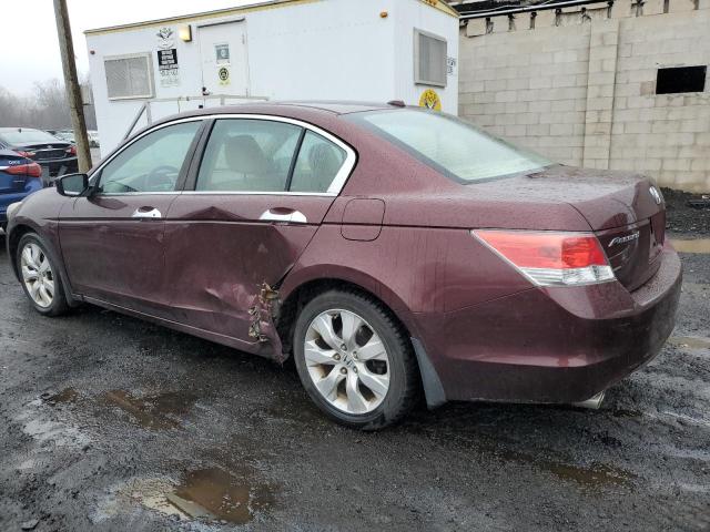 Image 2 of 2010 HONDA ACCORD EXL 2010 with VIN 5KBCP3F88AB018919