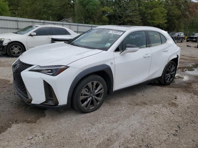 2019 LEXUS UX 200 2019 image