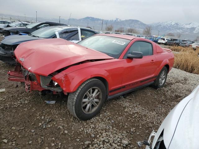 Obraz 1 z 2006 FORD MUSTANG  2006 z VIN 1ZVFT80N465244853