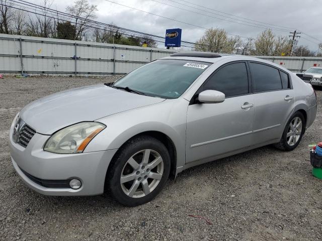 2004 NISSAN MAXIMA SE 2004 image