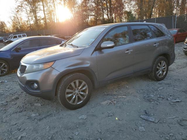 2011 KIA SORENTO EX 2011 image
