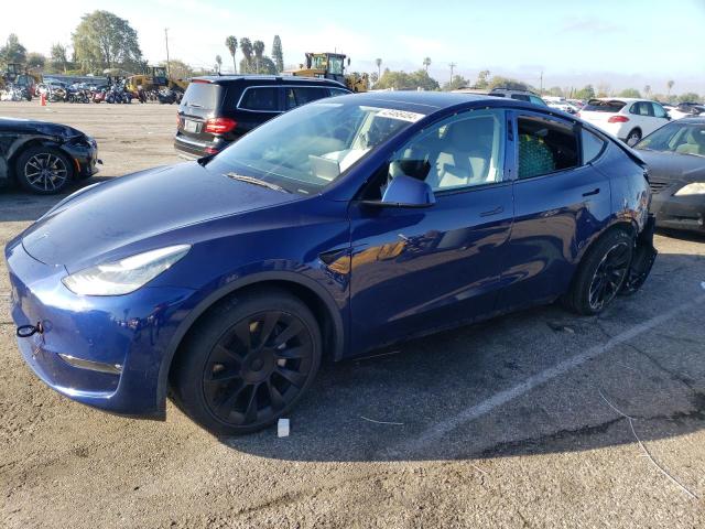2021 TESLA MODEL Y  2021 image