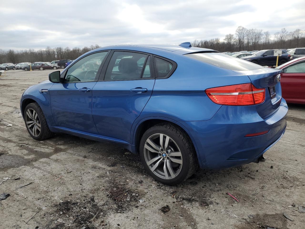 Изображение 2 2011 BMW X6 M 2011 с VIN 5YMGZ0C57BLK13838