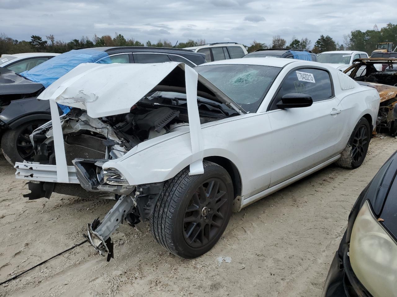 2014 FORD MUSTANG  2014 image