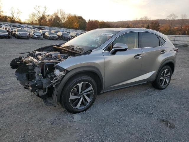 2020 LEXUS NX 300 2020 image