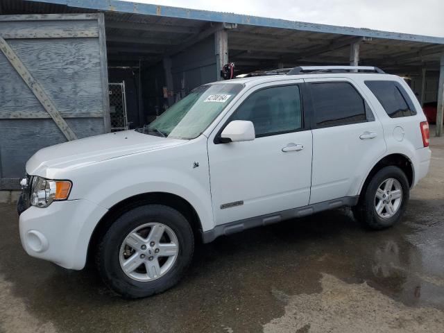 Image 1 of 2008 FORD ESCAPE HEV 2008 with VIN 1FMCU49H58KA94616