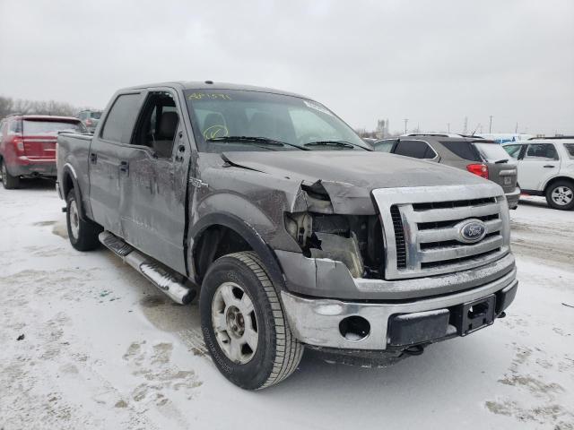 Изображение 1 2010 FORD F150 SUPERCREW 2010 с VIN 1FTEW1E82AFA81591