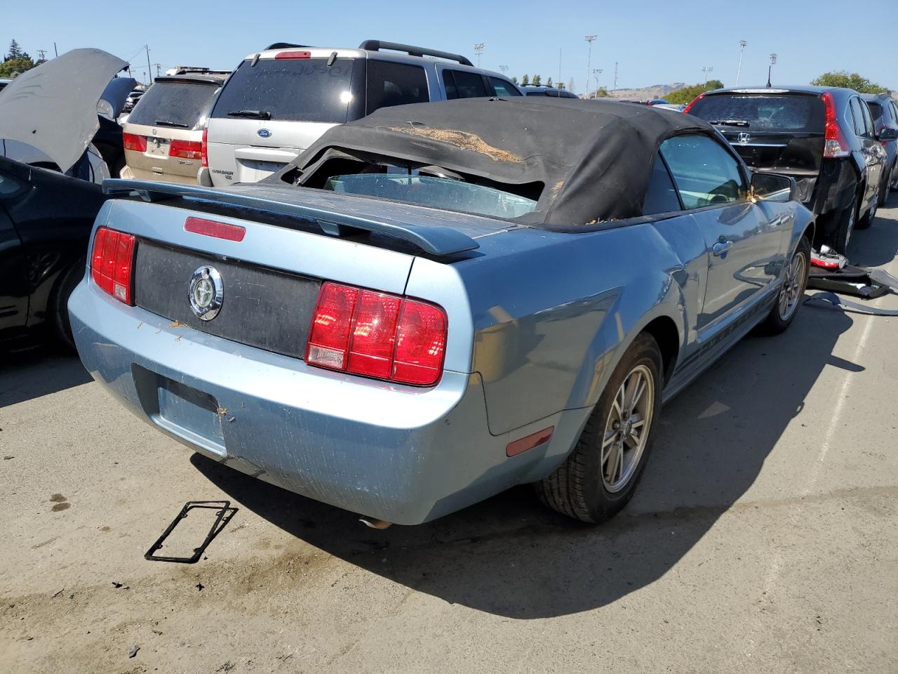 Изображение 3 2006 FORD MUSTANG  2006 с VIN 1ZVFT84N365105405