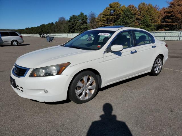 Image 1 of 2010 HONDA ACCORD EXL 2010 with VIN 1HGCP3F83AA003771