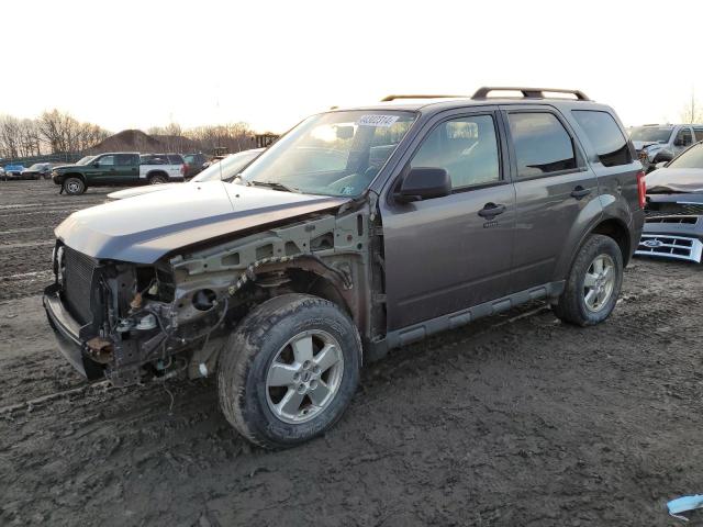 Obraz 2010 FORD ESCAPE XLT 2010