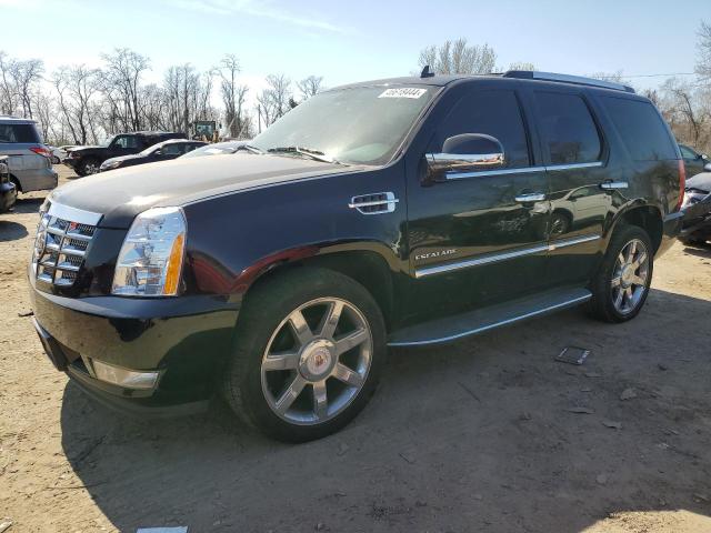 2013 CADILLAC ESCALADE LUXURY 2013 image