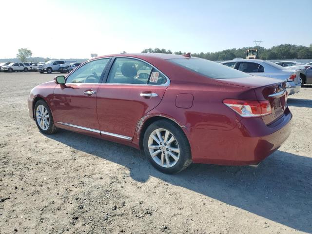 Obraz 2 z 2011 LEXUS ES 350 2011 z VIN JTHBK1EG0B2442782
