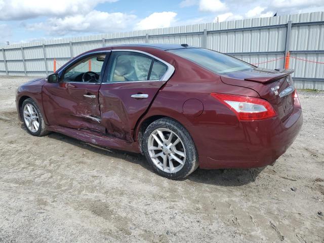 Obraz 2 z 2009 NISSAN MAXIMA S 2009 z VIN 1N4AA51E39C833804