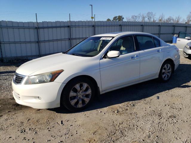 Image 1 of 2008 HONDA ACCORD EXL 2008 with VIN 1HGCP36868A038542
