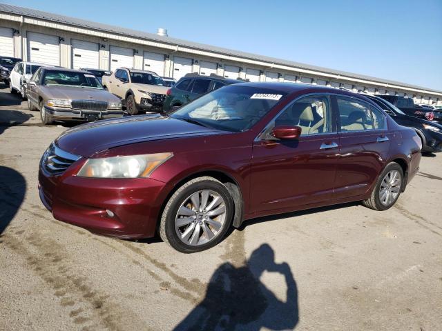 Изображение 1 2011 HONDA ACCORD EXL 2011 с VIN 1HGCP3F84BA021746