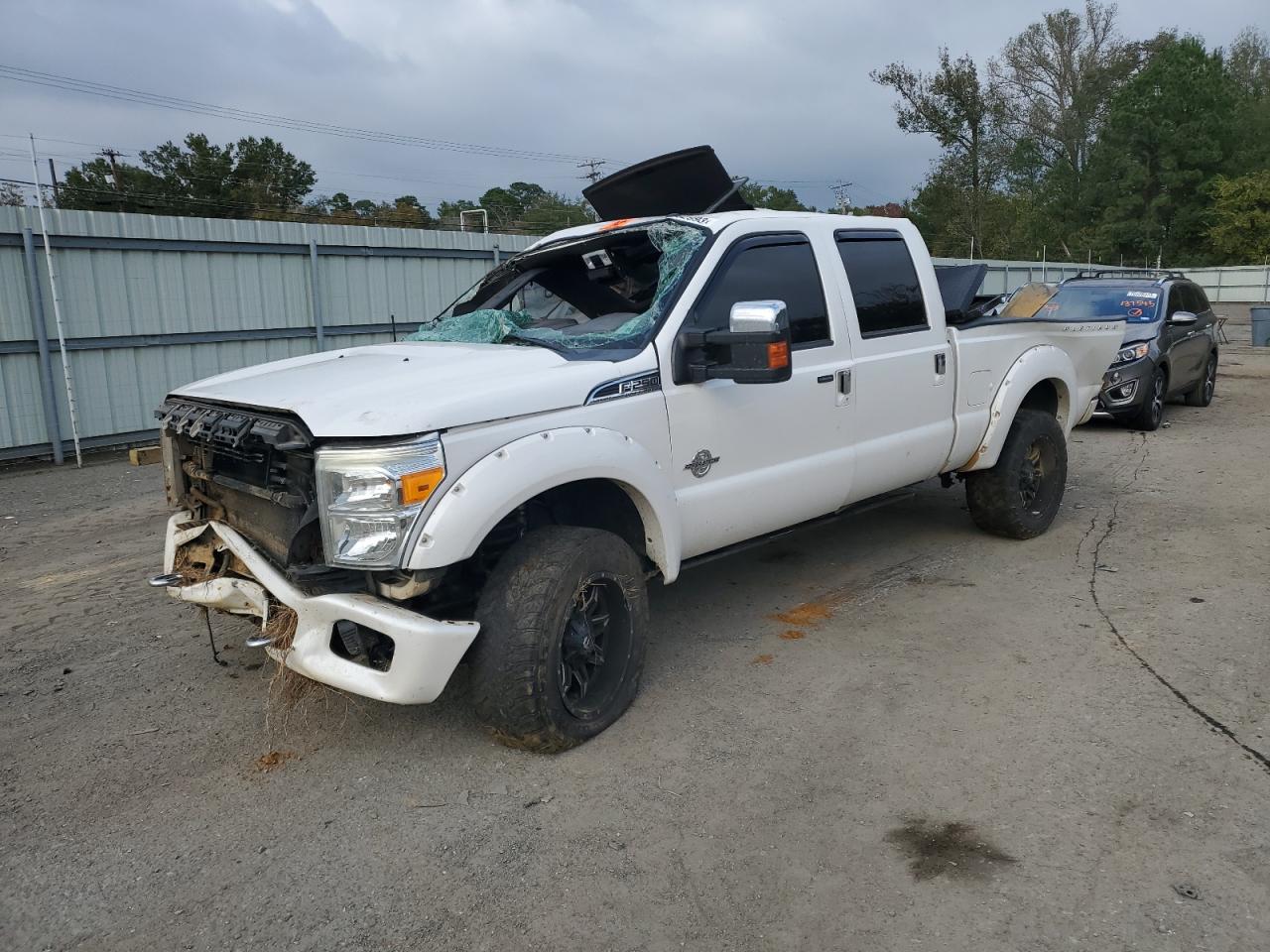2014 FORD F250 SUPER DUTY 2014 image