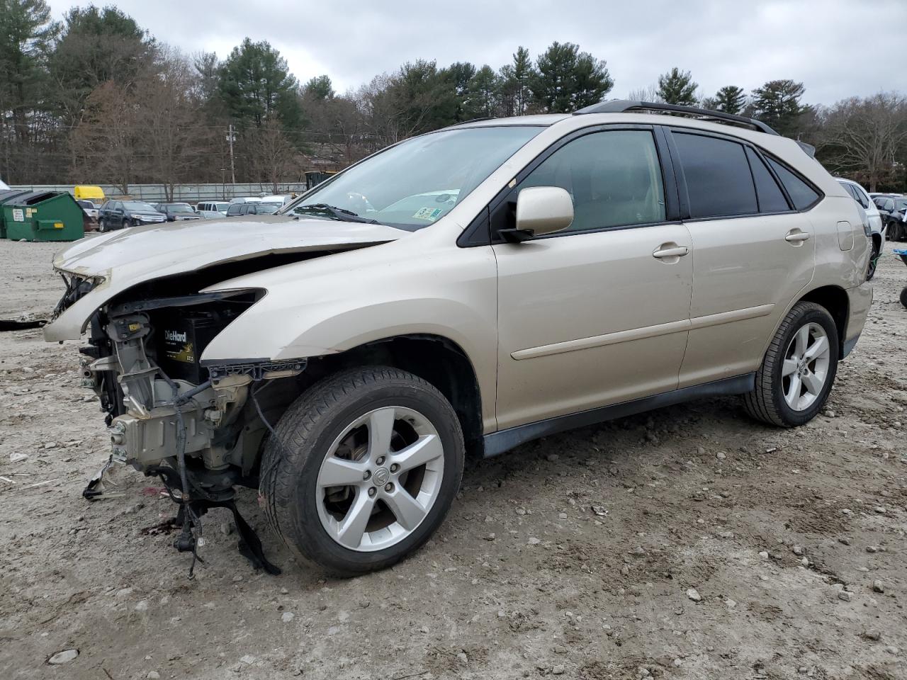 2004 LEXUS RX 330 2004 image