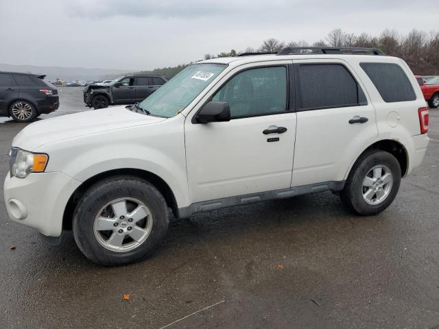 Obraz 2012 FORD ESCAPE XLT 2012