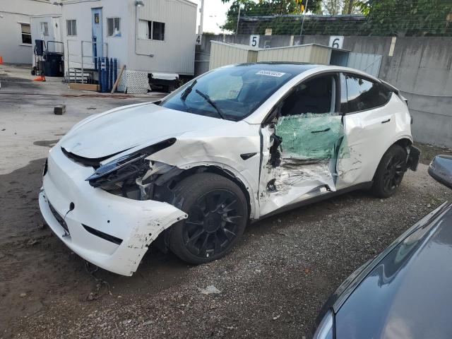 2022 TESLA MODEL Y  2022 image