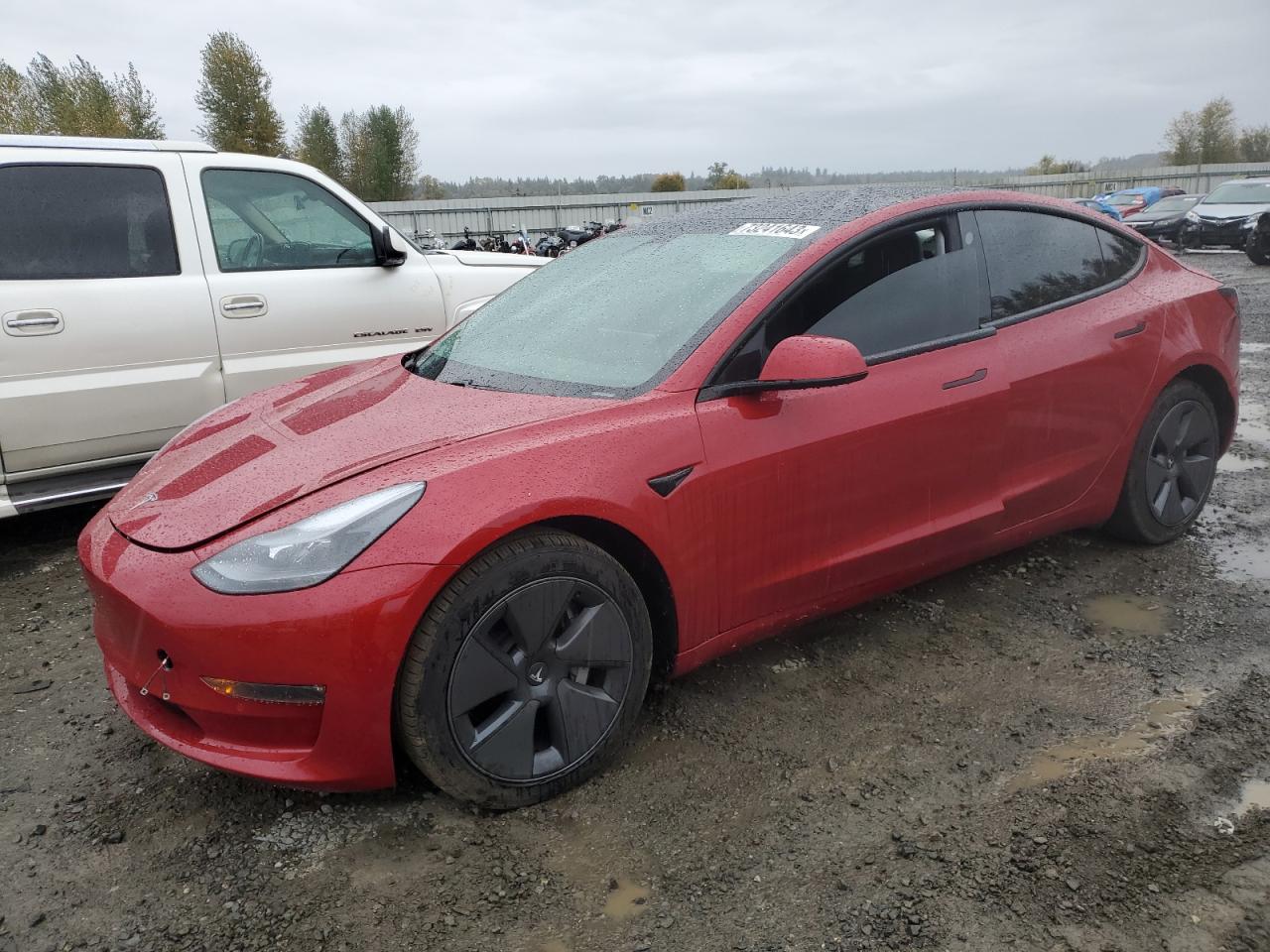 2021 TESLA MODEL 3  2021 image