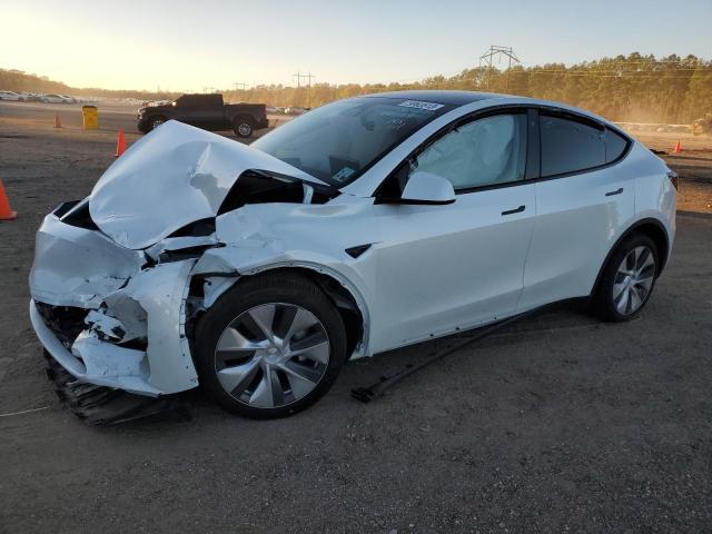 2023 TESLA MODEL Y  2023 image