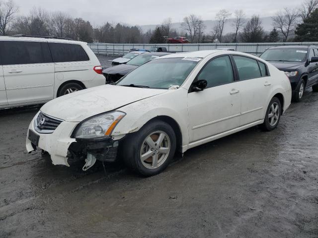 Image 1 of 2008 NISSAN MAXIMA SE 2008 with VIN 1N4BA41E28C806882