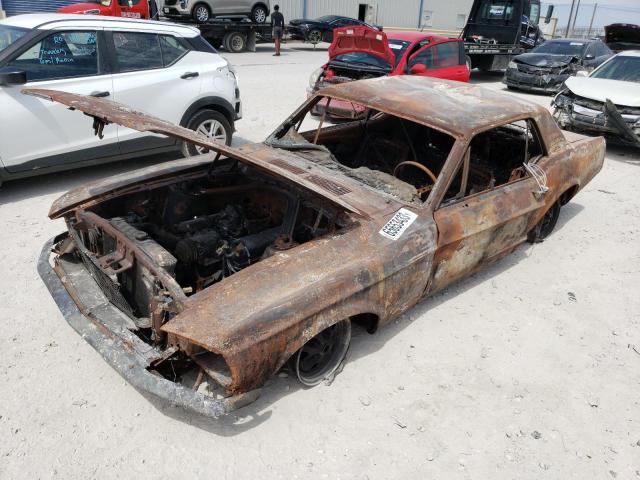 1967 FORD MUSTANG 1967 image