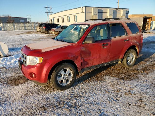 Image 1 of 2011 FORD ESCAPE XLT 2011 with VIN 1FMCU0DGXBKC29944