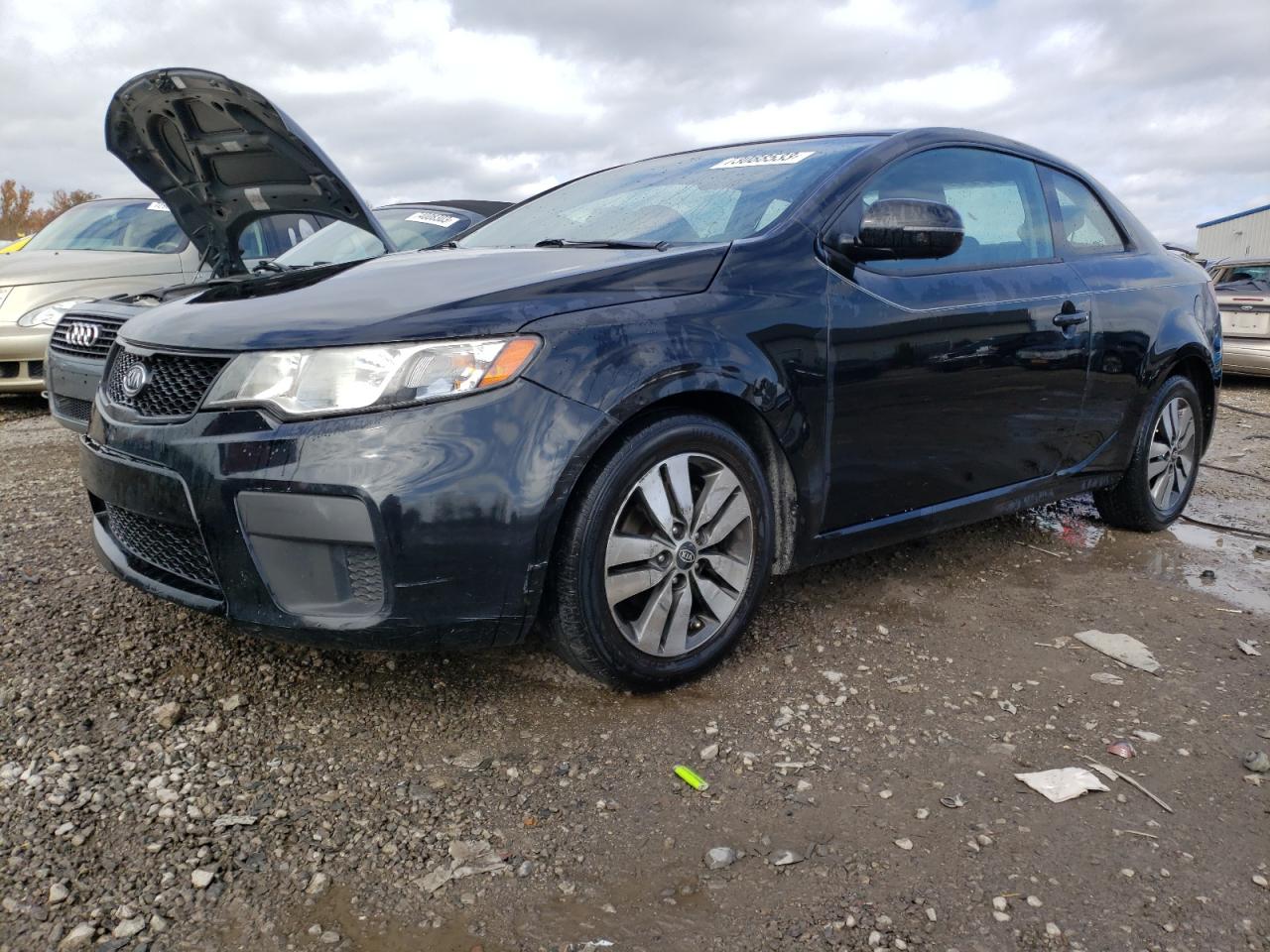 2013 KIA FORTE EX 2013 image