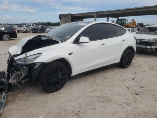 2021 TESLA MODEL Y  2021 image