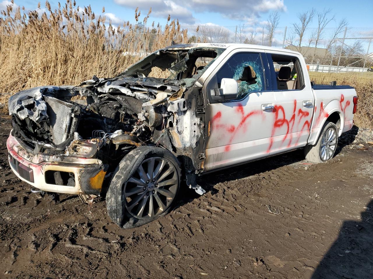 Image 1 of 2020 FORD F150 SUPERCREW 2020 with VIN 1FTEW1EG8LFC70109