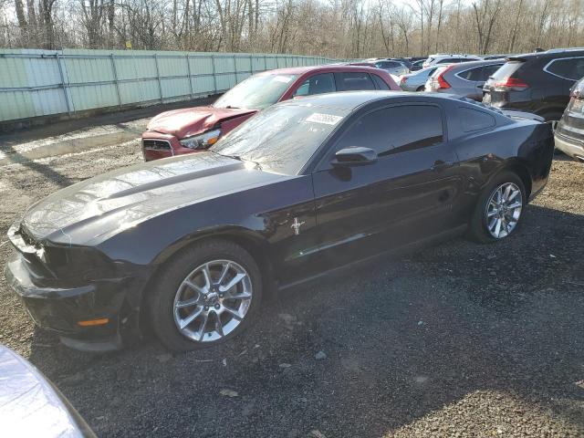 2011 FORD MUSTANG  2011 image