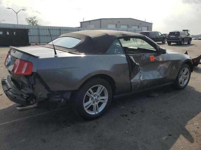 Image 3 of 2010 FORD MUSTANG  2010 with VIN 1ZVBP8EN3A5149219