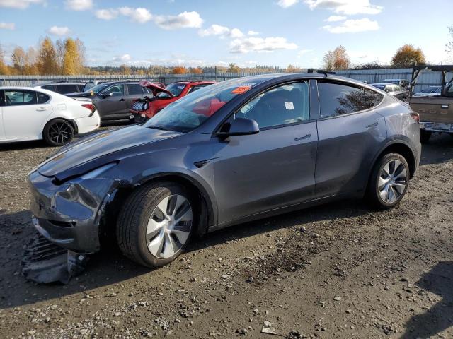 2023 TESLA MODEL Y  2023 image