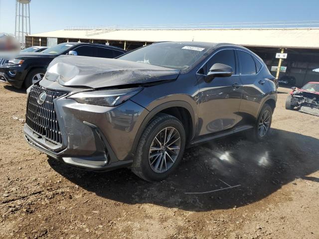 Obraz 2022 LEXUS NX 250 2022