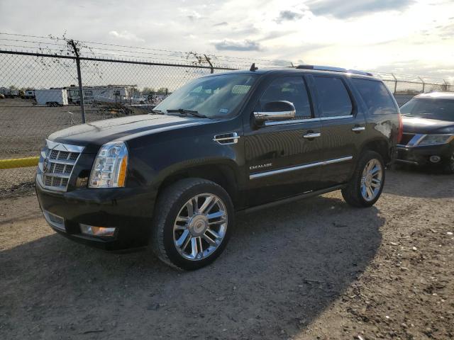 2013 CADILLAC ESCALADE PLATINUM 2013 image