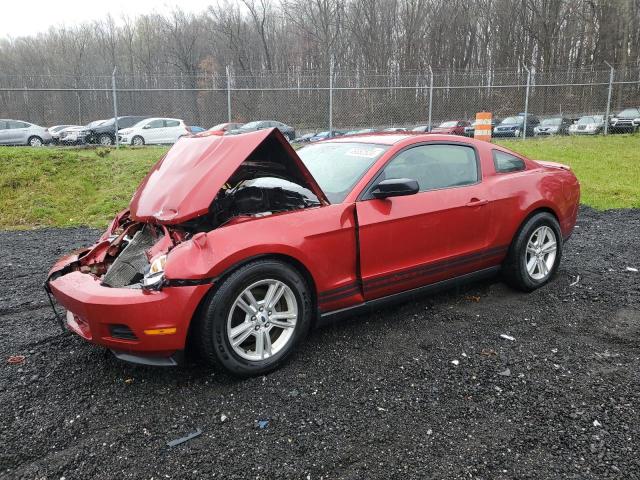 2012 FORD MUSTANG  2012 image
