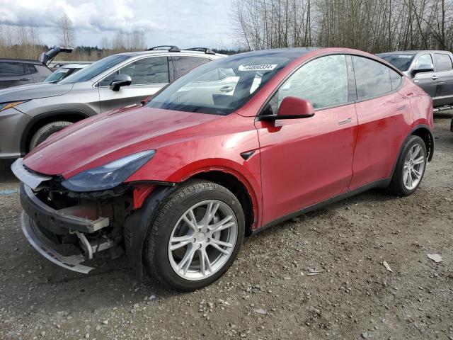 2023 TESLA MODEL Y 2023 image