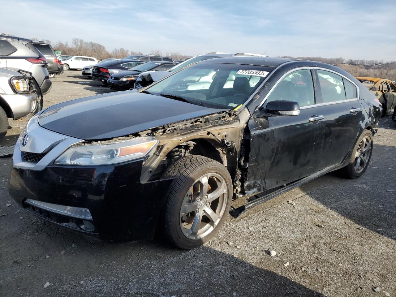 2010 ACURA TL  2010 image