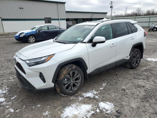 2023 TOYOTA RAV4 XLE PREMIUM 2023 image