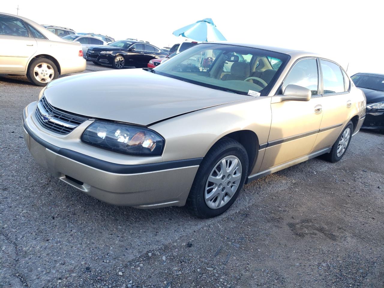 2004 CHEVROLET IMPALA  2004 image
